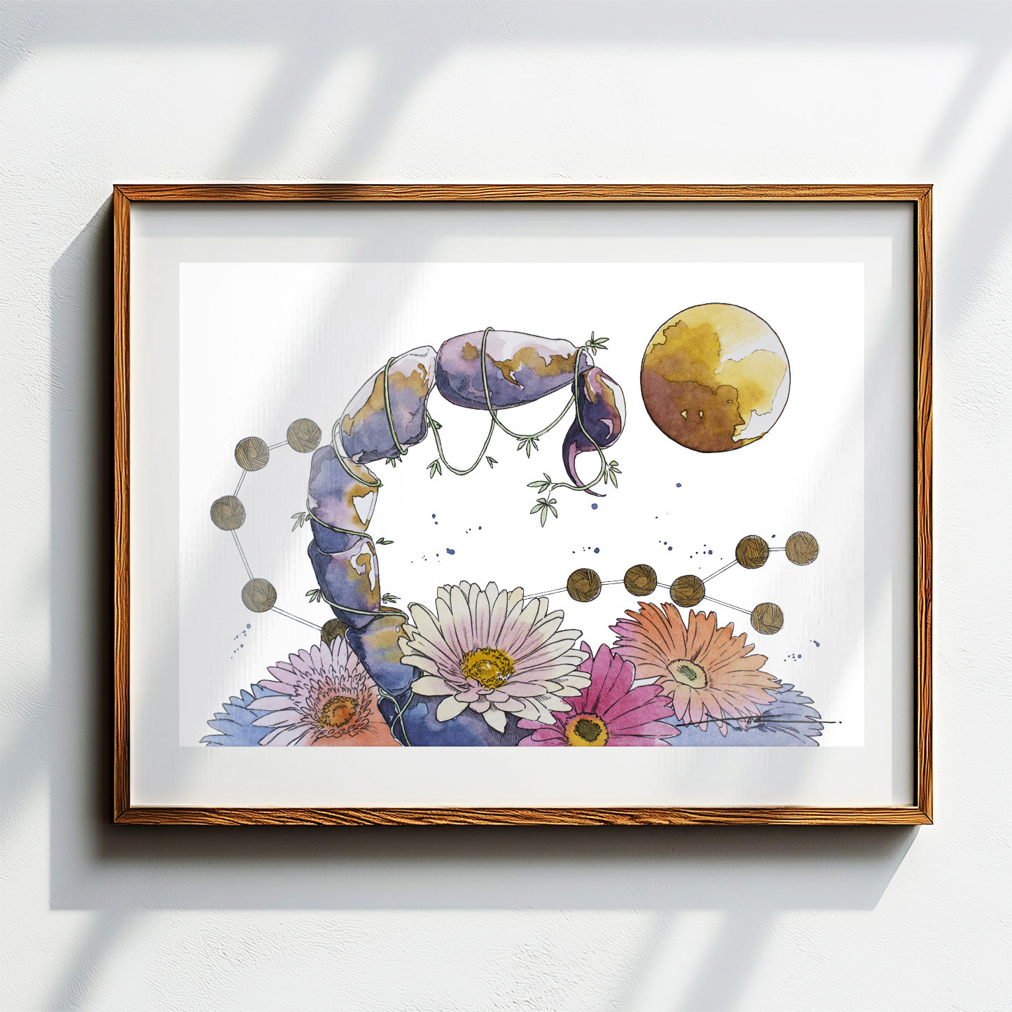 さそり座_水彩原画_イラスト