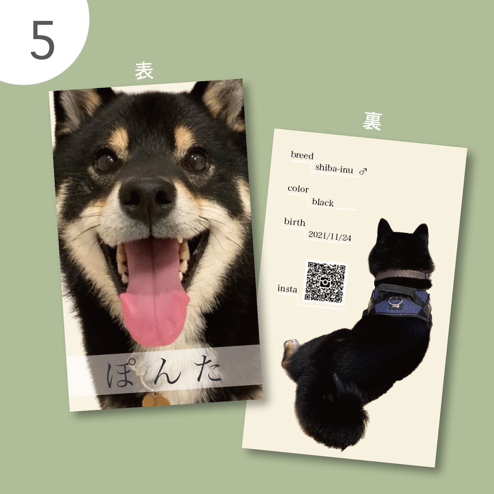 【フルオーダー】うちのこ名刺・わんこ名刺・ペット名刺・紹介カード・