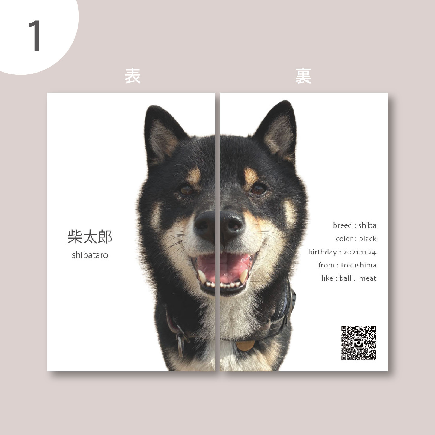 【フルオーダー】うちのこ名刺・わんこ名刺・ペット名刺・紹介カード・