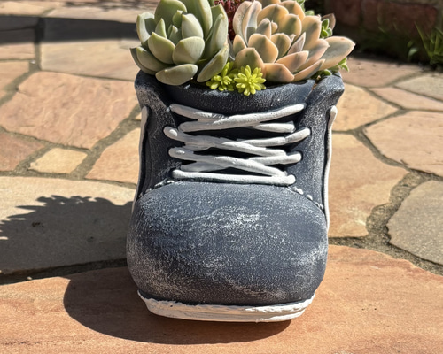 4️⃣多肉植物 寄せ植え そのまま飾れる٩(ˊᗜˋ*)و♪﻿陶器鉢 多肉植物 寄せ植え そのまま飾れる٩(ˊᗜˋ*)و♪﻿靴型陶器鉢ブルーL