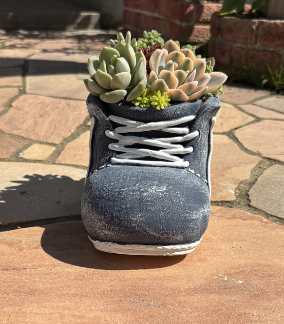 4️⃣多肉植物 寄せ植え そのまま飾れる٩(ˊᗜˋ*)و♪﻿陶器鉢 多肉植物 寄せ植え そのまま飾れる٩(ˊᗜˋ*)و♪﻿靴型陶器鉢ブルーL