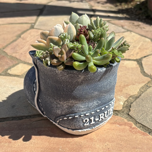多肉植物 寄せ植え そのまま飾れる٩(ˊᗜˋ*)و♪﻿靴型陶器鉢ブルーL