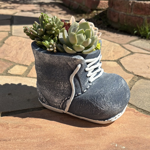 多肉植物 寄せ植え そのまま飾れる٩(ˊᗜˋ*)و♪﻿靴型陶器鉢ブルーL