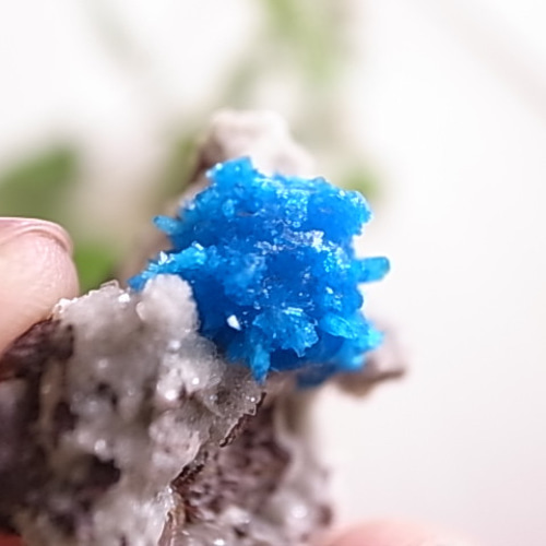 希少 ペンタゴナイト インド/プネー・ワゴリ鉱山産 7g 原石 天然石 宙