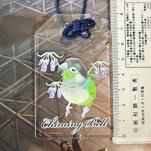 ウロコインコ♡クリアお守り おもちゃ・ペット小物 すんすん☀るーむ