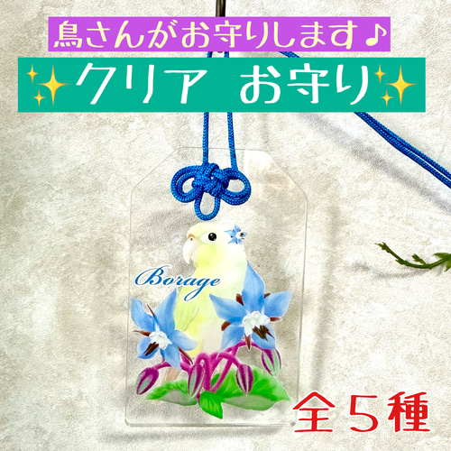 ウロコインコ♡クリアお守り おもちゃ・ペット小物 すんすん☀るーむ