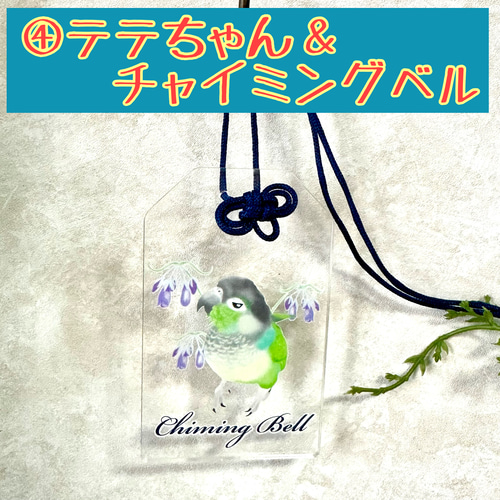 ウロコインコ♡クリアお守り おもちゃ・ペット小物 すんすん☀るーむ