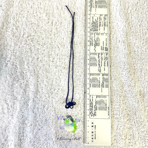 ウロコインコ♡クリアお守り おもちゃ・ペット小物 すんすん☀るーむ