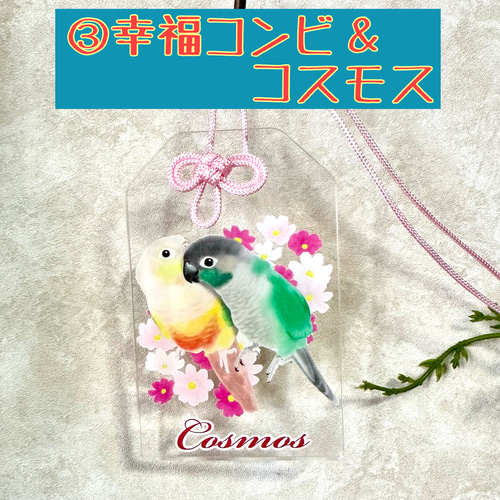 ウロコインコ♡クリアお守り おもちゃ・ペット小物 すんすん☀るーむ