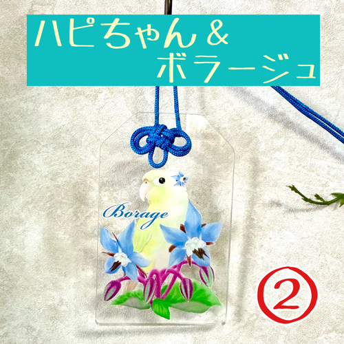 ウロコインコ♡クリアお守り おもちゃ・ペット小物 すんすん☀るーむ