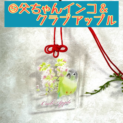 ウロコインコ♡クリアお守り おもちゃ・ペット小物 すんすん☀るーむ