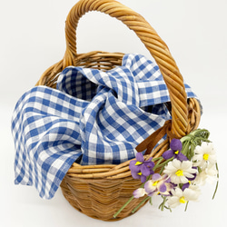 Blue gingham basket ブルーギンガムバスケット 3枚目の画像
