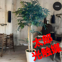 光触媒　人工観葉植物　ウォールグリーン　フェイクグリーン　ウッドボックスDX 光触媒 人工観葉植物 ウォールグリーン フェイクグリーン ウッド