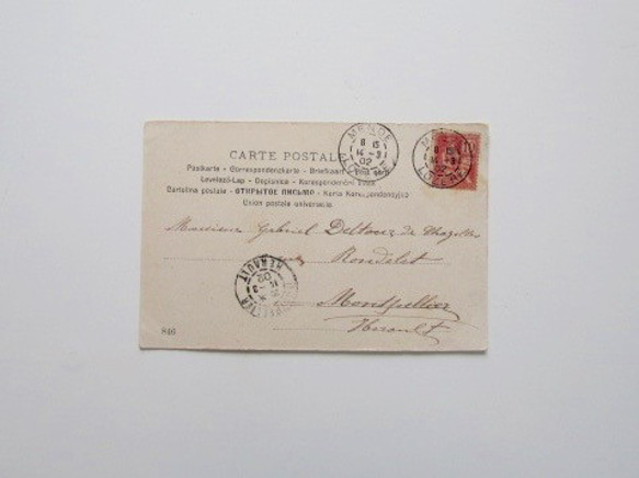 『貴婦人と犬』CARTE POSTALE フランスアンティークポストカード 5枚目の画像