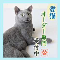 羊毛フェルト うちの子 オーダー ネコ◇愛猫の宝箱◇ペット リアル猫