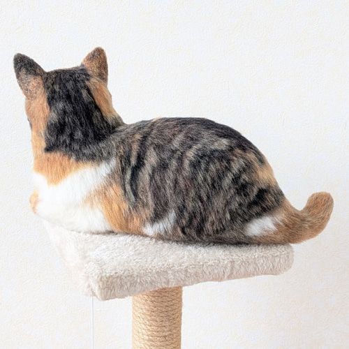 羊毛フェルト うちの子 オーダー ネコ◇愛猫の宝箱◇ペット メモリアル