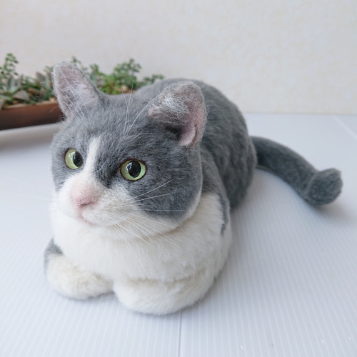 羊毛フェルト うちの子 オーダー ネコ◇愛猫の宝箱◇ペット メモリアル