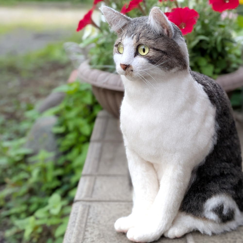 羊毛フェルト うちの子 オーダー ネコ◇愛猫の宝箱◇ペット リアル猫