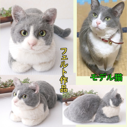 羊毛フェルト うちの子 オーダー ネコ◇愛猫の宝箱◇ペット メモリアル