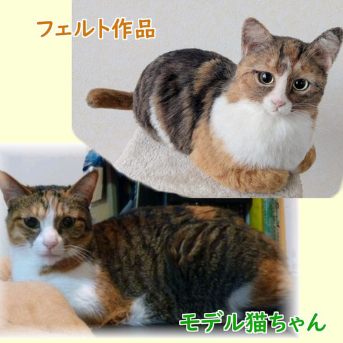 羊毛フェルト うちの子 オーダー ネコ◇愛猫の宝箱◇ペット メモリアル