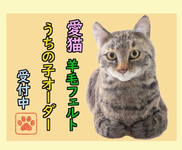 羊毛フェルト うちの子 オーダー ネコ◇愛猫の宝箱◇ペット リアル猫
