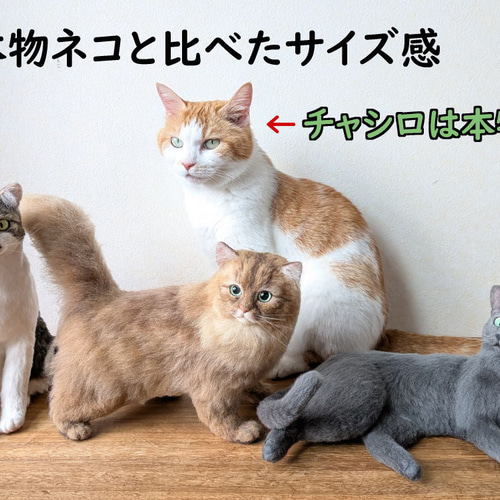羊毛フェルト うちの子 オーダー ネコ◇愛猫の宝箱◇ペット メモリアル