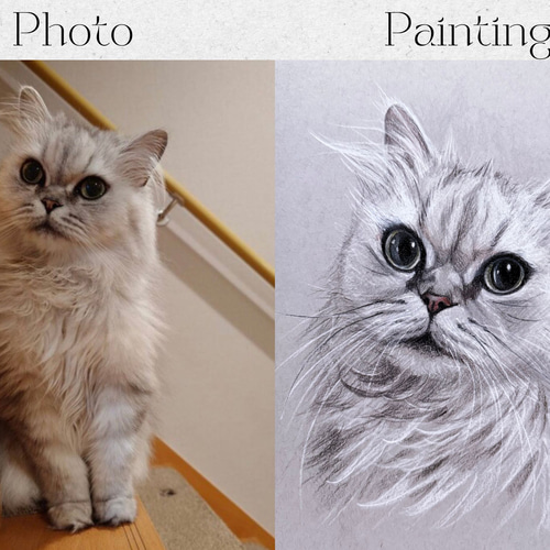 色鉛筆 ペット 似顔絵｜オーダーメイド 手描き イラスト｜犬 猫 うさぎ