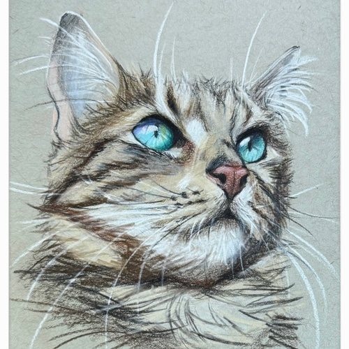 色鉛筆 ペット 似顔絵｜オーダーメイド 手描き イラスト｜犬 猫 うさぎ