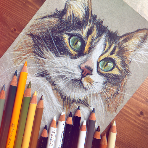 色鉛筆 ペット 似顔絵｜オーダーメイド 手描き イラスト｜犬 猫 うさぎ