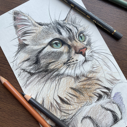 手描きイラスト　色鉛筆画　オーダーイラスト 手描きイラスト 色鉛筆画 オーダー - メルカリ