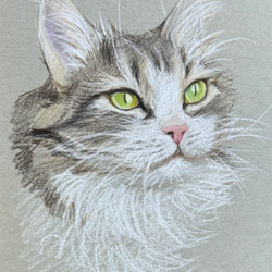 色鉛筆 ペット 似顔絵｜オーダーメイド 手描き イラスト｜犬 猫 うさぎ