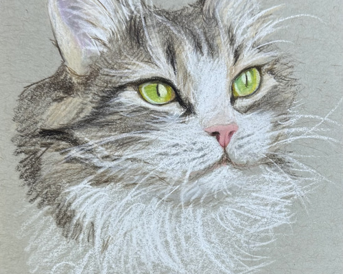 色鉛筆 ペット 似顔絵｜オーダーメイド 手描き イラスト｜犬 猫 うさぎ