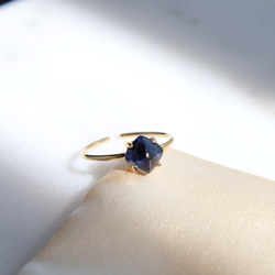 隕石のピアス スウェーデン産 ムオニナルスタ隕石（メテオライト隕石