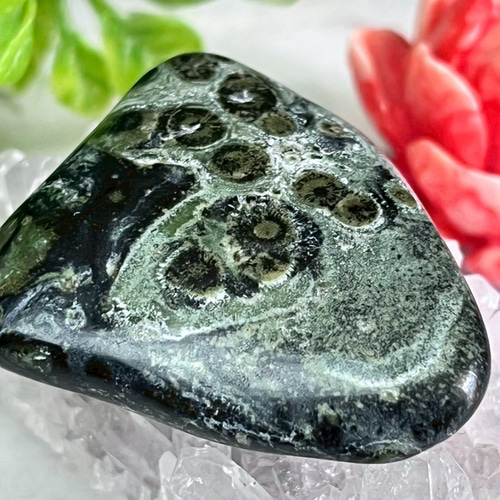 大地の石✿ カンババジャスパー クロコダイル 原石 タンブル 握り石