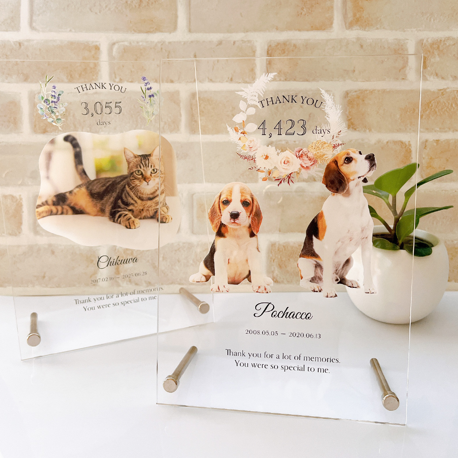 ペットメモリアルフォトプレート  | 犬 猫 ペット フォトスタンド 位牌 仏具 遺影 手元供養