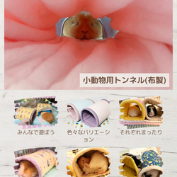 モルモットンネル✨イチゴ柄 3枚目の画像