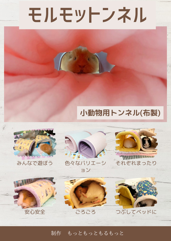 モルモットンネル✨イチゴ柄 3枚目の画像