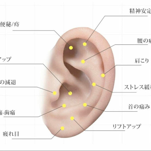 ⑥安心の国産マグレイン使用♡耳ツボジュエリー チタン粒 20粒