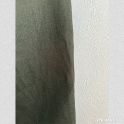  第3張的照片