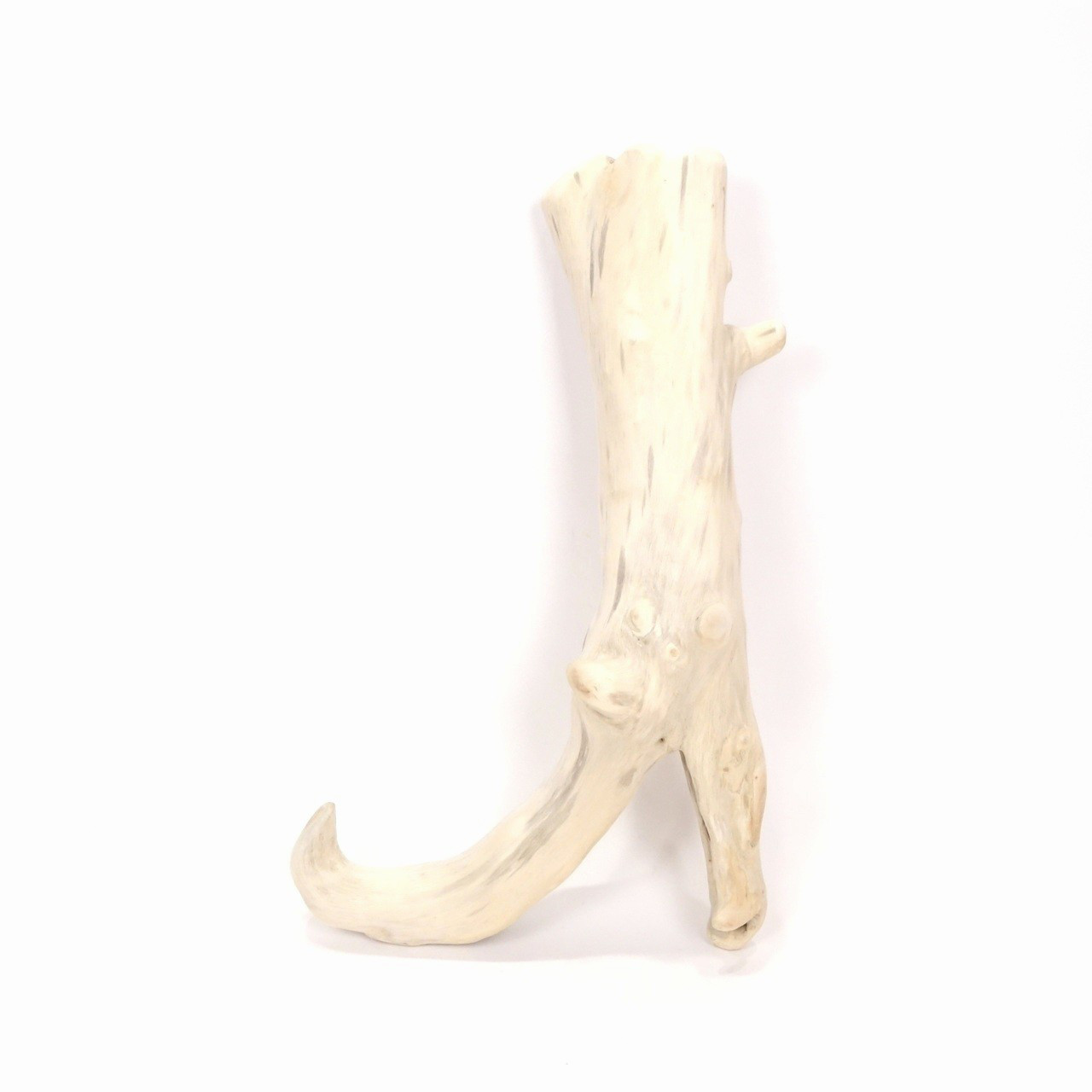 【温泉流木】色白双子幹の形状かわいい流木オブジェ 流木素材 インテリア素材 レイアウト素材