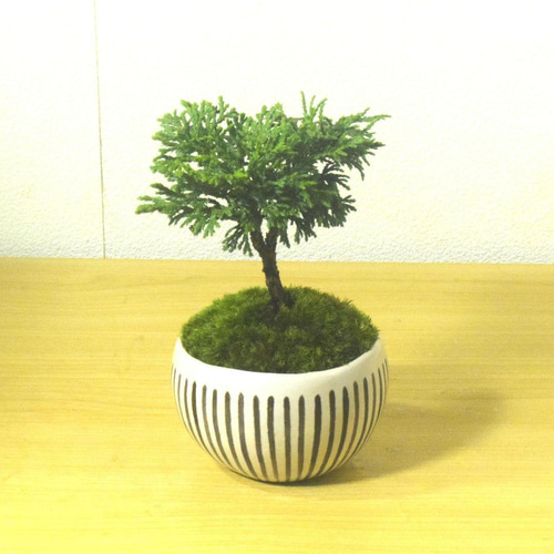 盆栽鉢　植木鉢　陶芸　園芸　盆栽 多肉植物鉢 紫砂鉢 盆栽鉢 植木鉢 小品盆栽鉢 大品盆栽鉢 - メルカリ