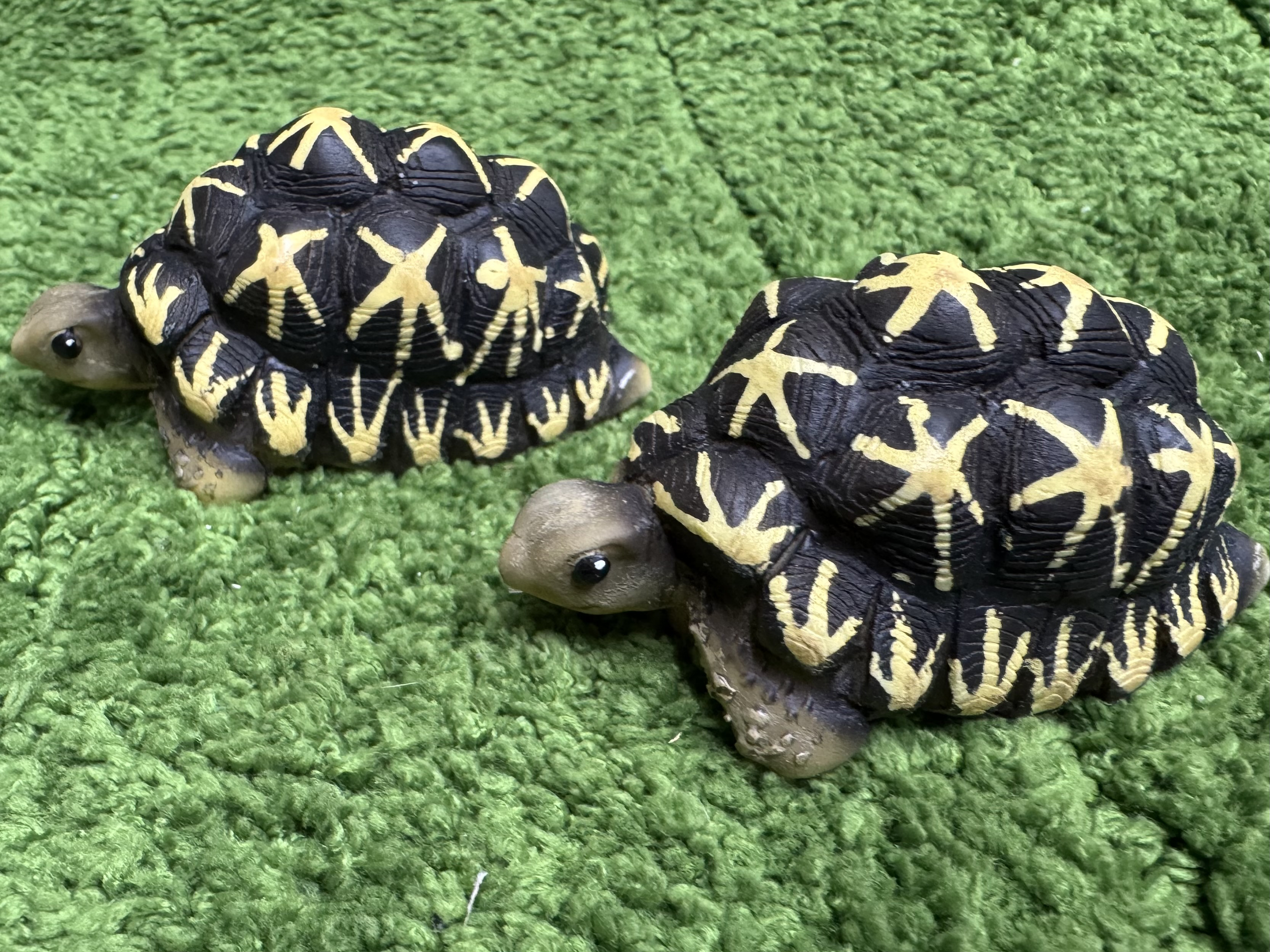 リクガメフィギュア