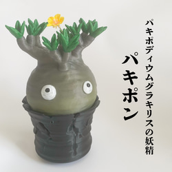 塊根植物植物の王 オペルクリカリア パキプス 自作フィギュア 置物 塊根植物植物の王 オペルクリカリア パキプス 自作フィギュア 置物