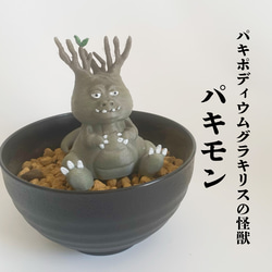 数量限定】オペルクリカリア・パキプス 10 フィギュア リアル