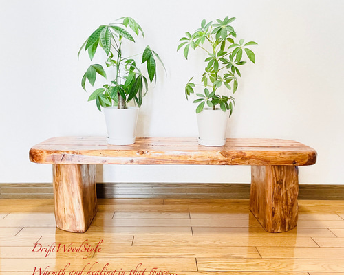 流木スツール　一点物　ハンドメイド　きのこ型 KiNoKo STOOL-キノコスツール – ROOTS FACTORY