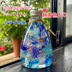 桜ハーバリウム ネコ瓶 Mサイズ ハーバリウム・植物標本 nekonote_mie