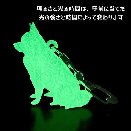 SALE中】チワワ mini3D蓄光（夜光）キーホルダー 半透明蓄光樹脂製