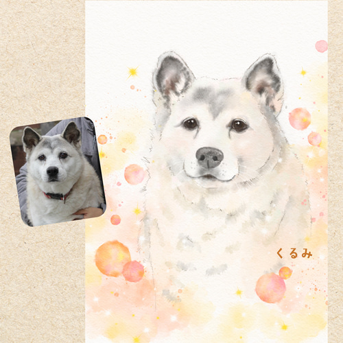 ペット似顔絵【A4】犬の絵 猫の絵 うちの子 イラスト オーダー