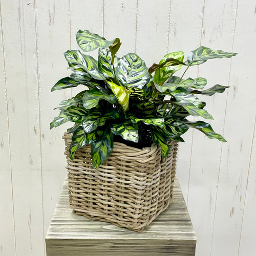 ラタン製 スクエアバスケット 藤製カゴ 収納インテリア 観葉植物鉢