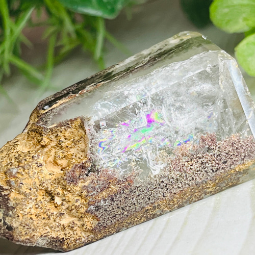 原生林のガーデンクォーツ✴︎　ポリッシュ　ポイント　苔入り水晶　クリスタル　原石 原生林のガーデンクォーツ✴︎ ポリッシュ ポイント 苔入り水晶